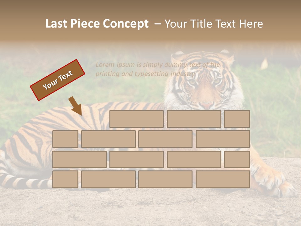 Tiger Sitting PowerPoint Template
