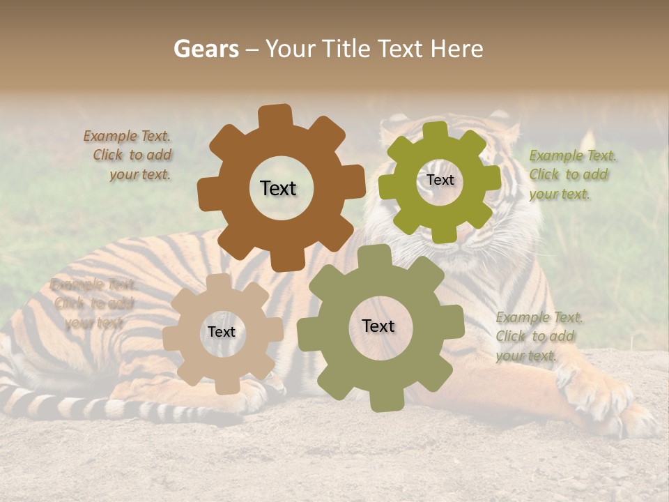 Tiger Sitting PowerPoint Template