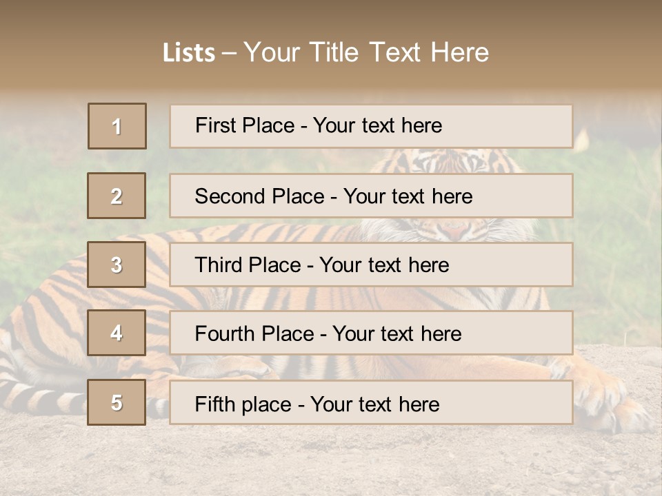 Tiger Sitting PowerPoint Template