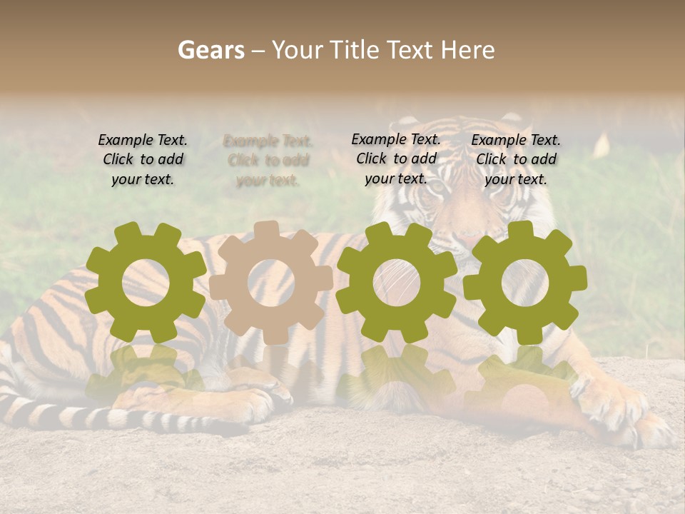 Tiger Sitting PowerPoint Template