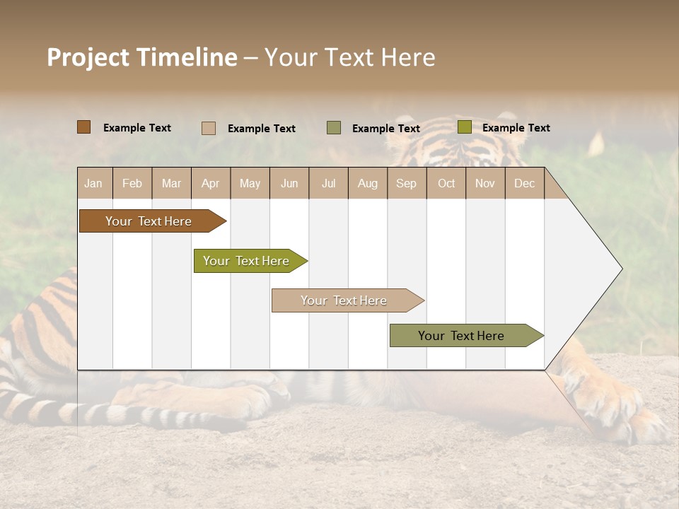 Tiger Sitting PowerPoint Template