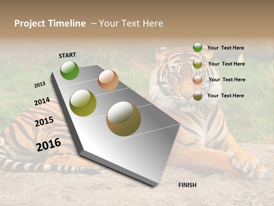 Tiger Sitting PowerPoint Template