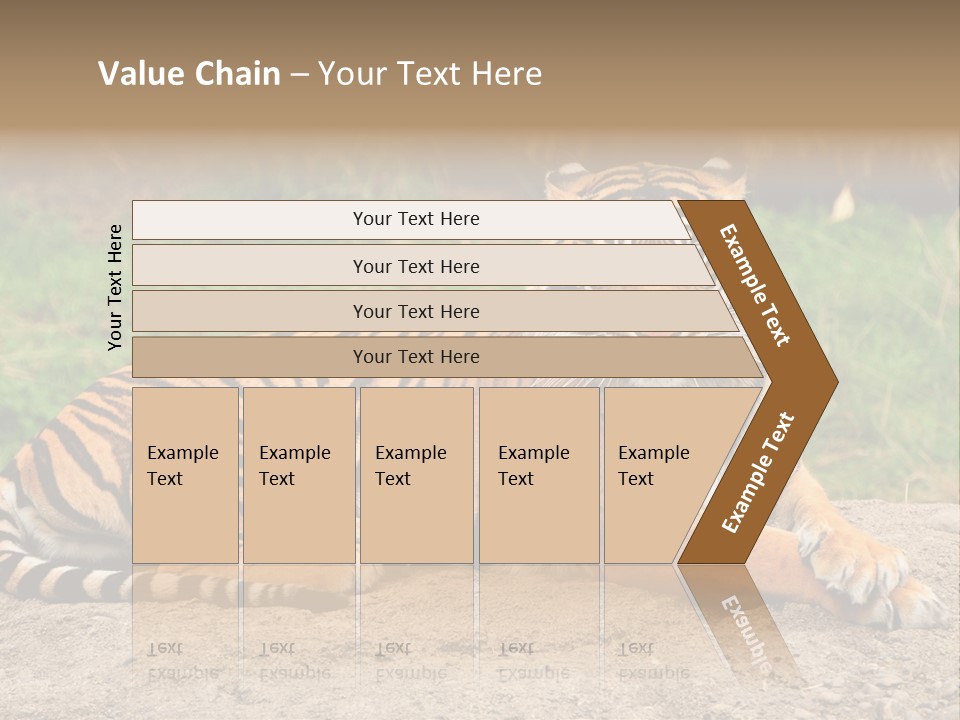 Tiger Sitting PowerPoint Template