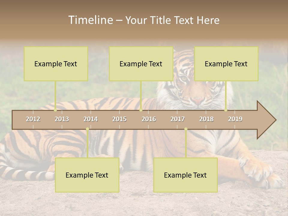 Tiger Sitting PowerPoint Template