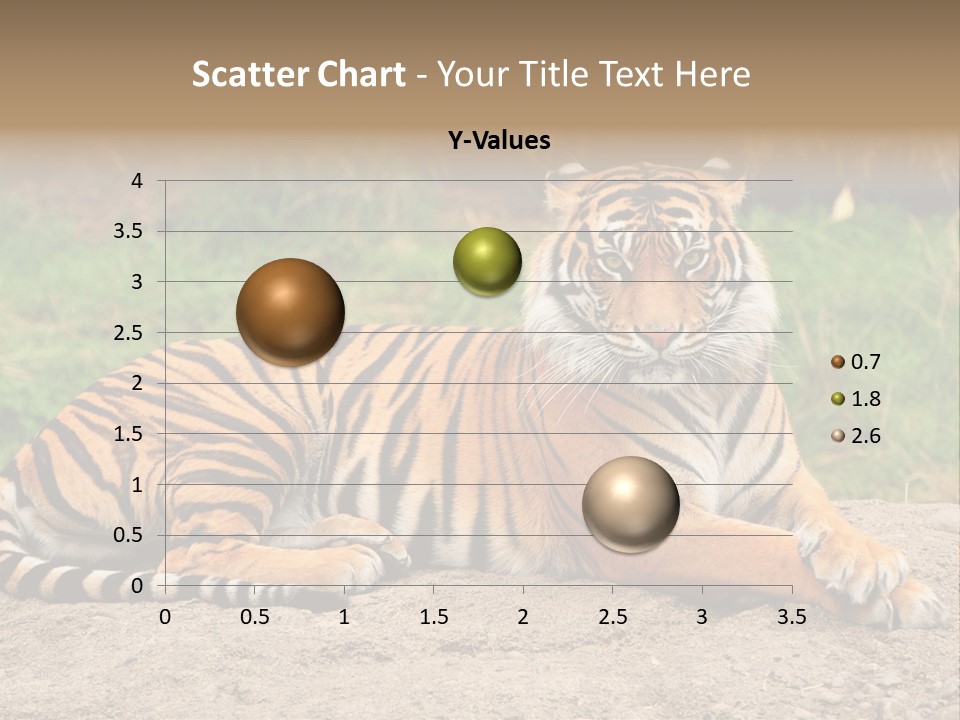 Tiger Sitting PowerPoint Template