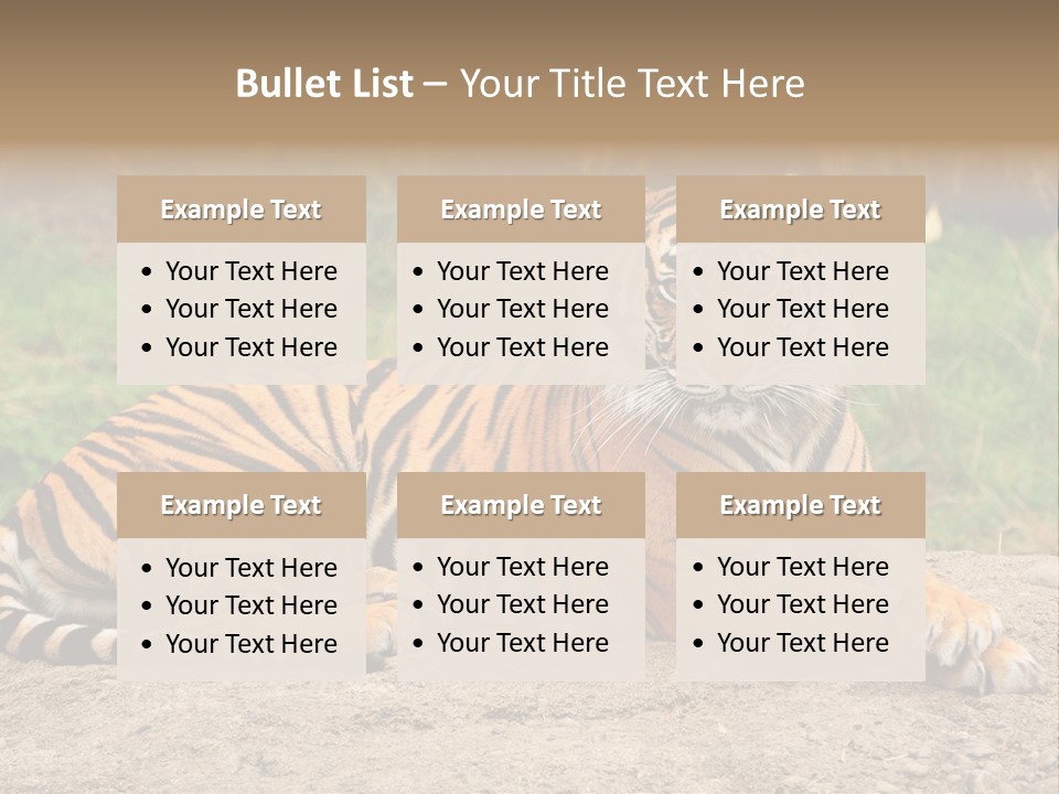 Tiger Sitting PowerPoint Template