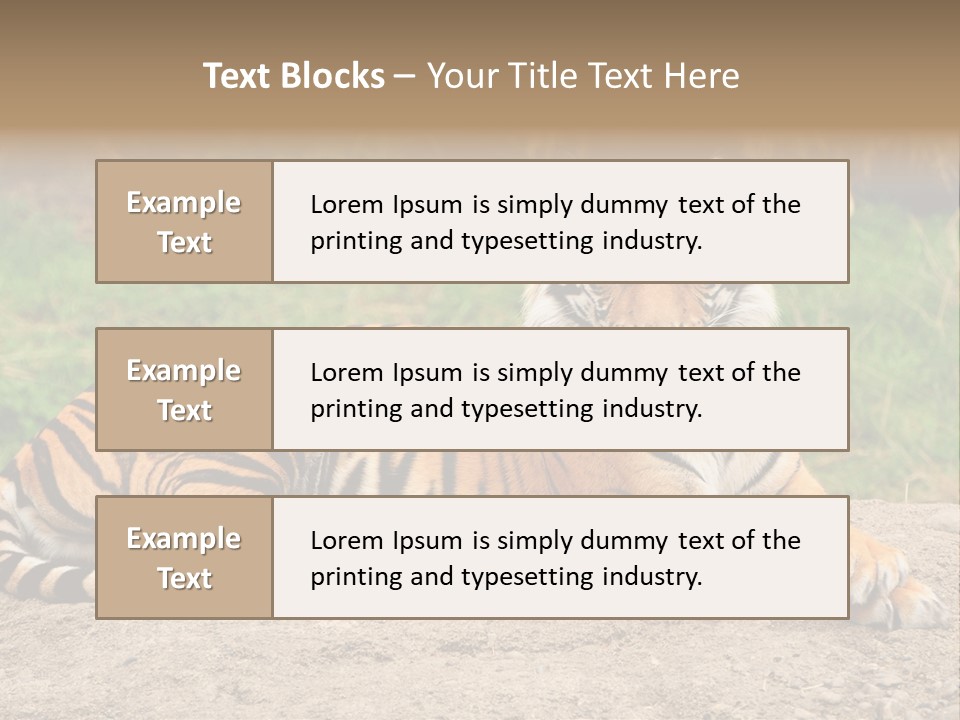 Tiger Sitting PowerPoint Template
