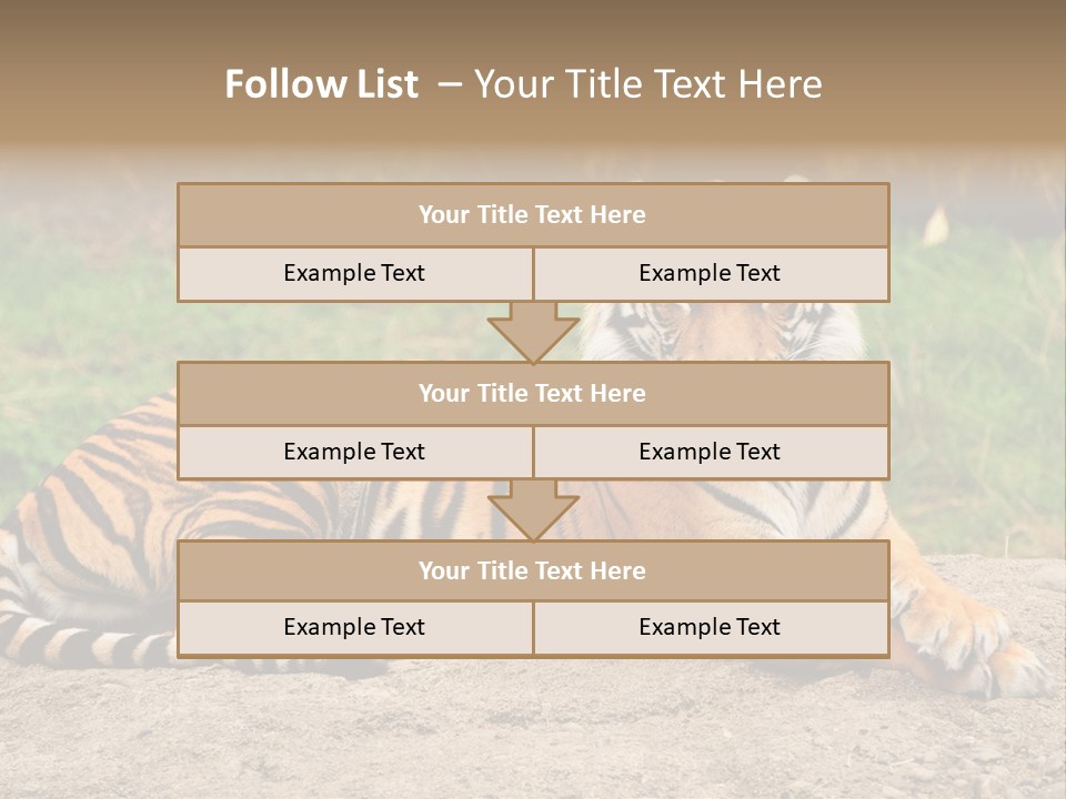 Tiger Sitting PowerPoint Template