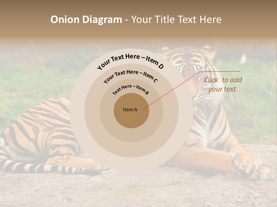 Tiger Sitting PowerPoint Template