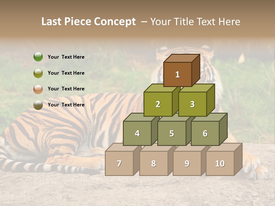 Tiger Sitting PowerPoint Template