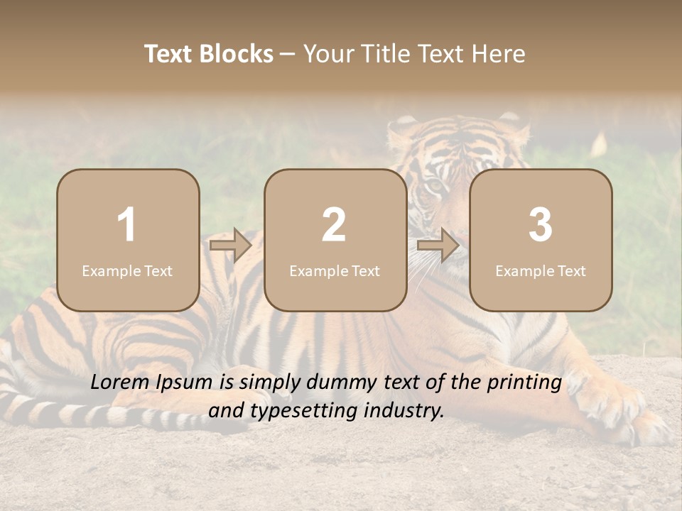 Tiger Sitting PowerPoint Template
