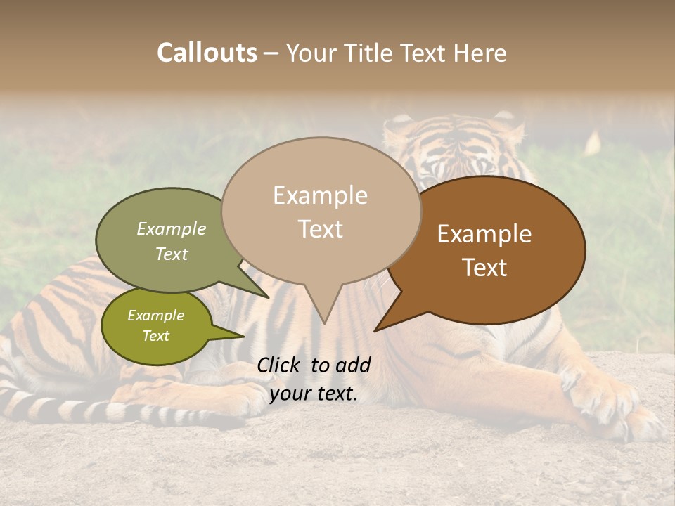 Tiger Sitting PowerPoint Template