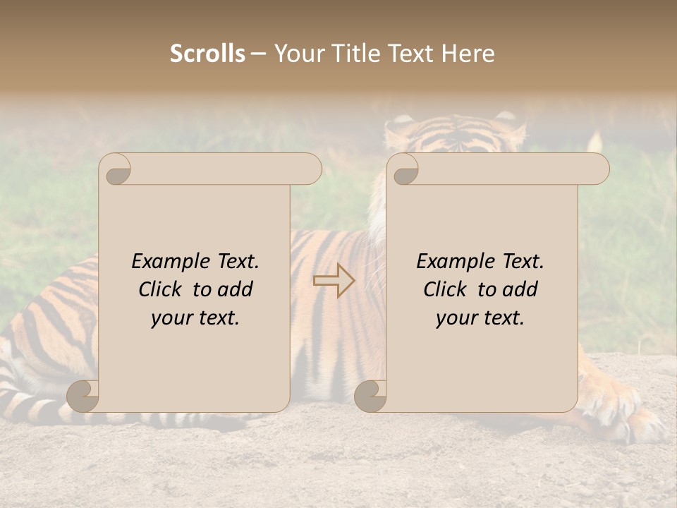 Tiger Sitting PowerPoint Template