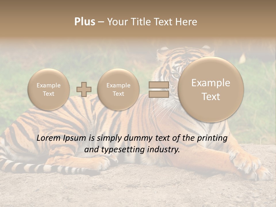 Tiger Sitting PowerPoint Template