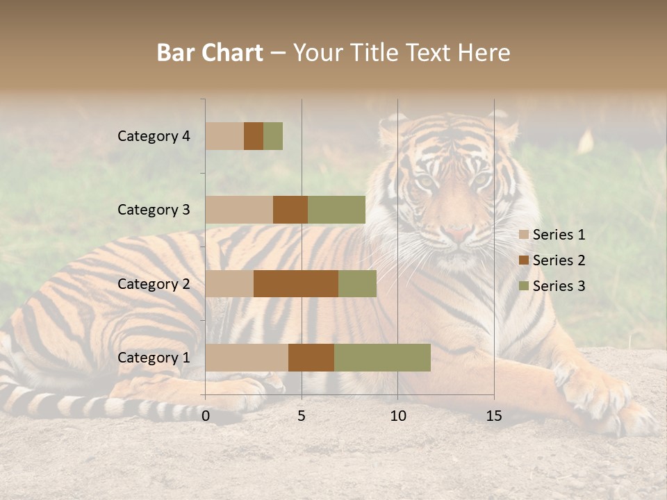 Tiger Sitting PowerPoint Template