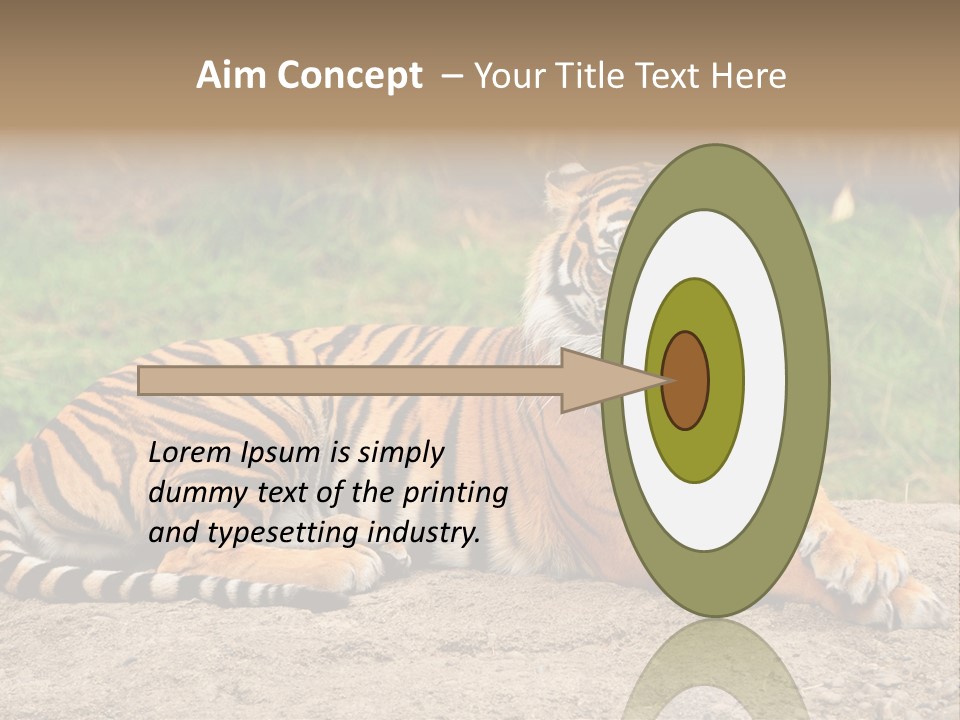 Tiger Sitting PowerPoint Template