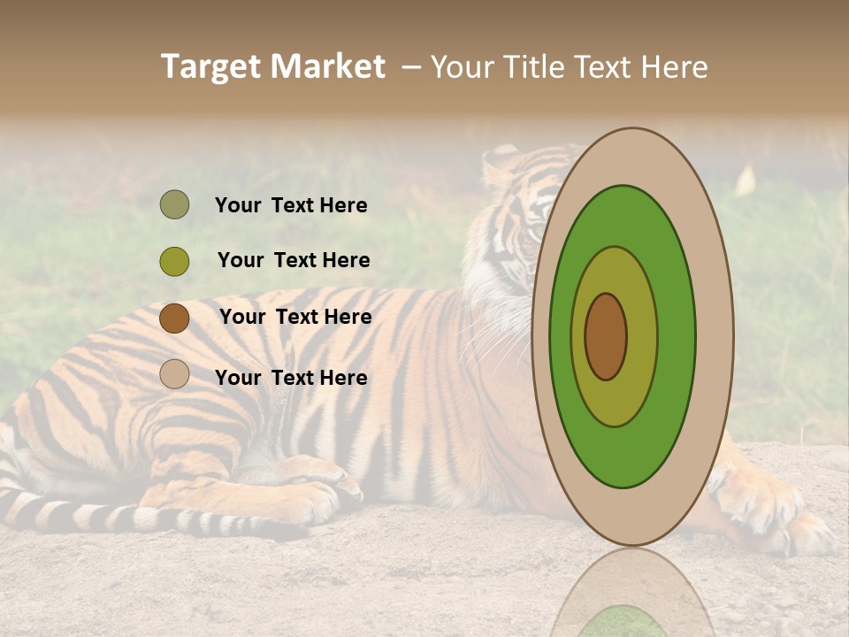 Tiger Sitting PowerPoint Template