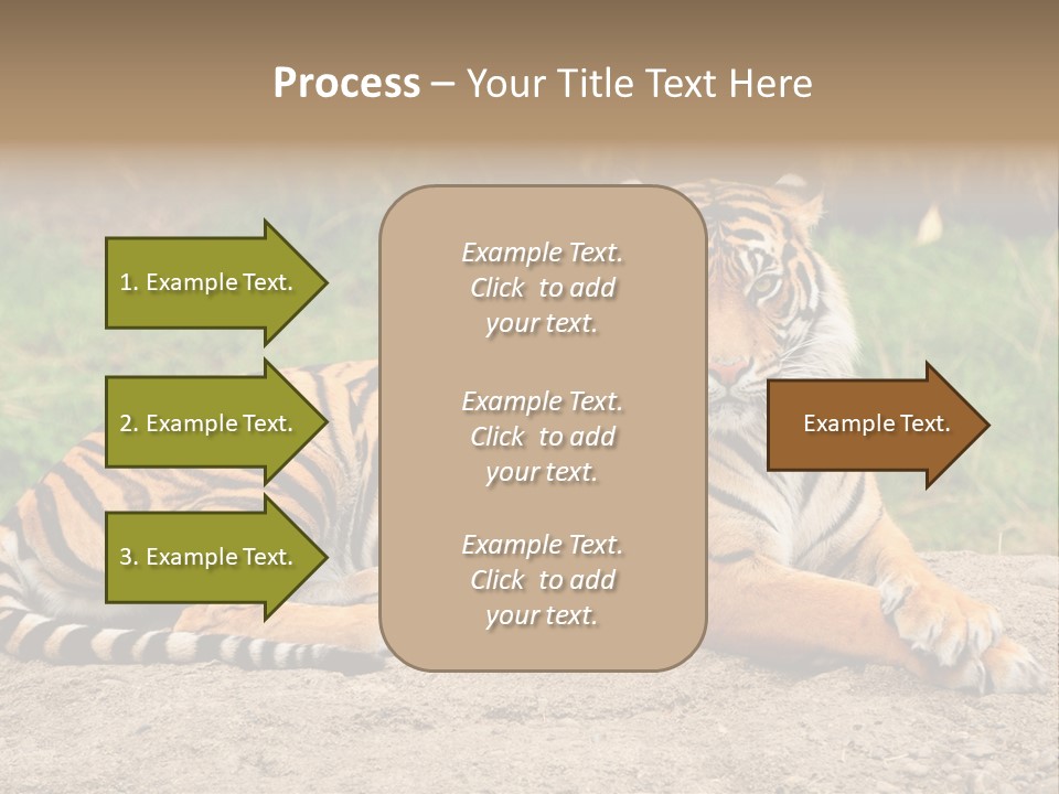 Tiger Sitting PowerPoint Template