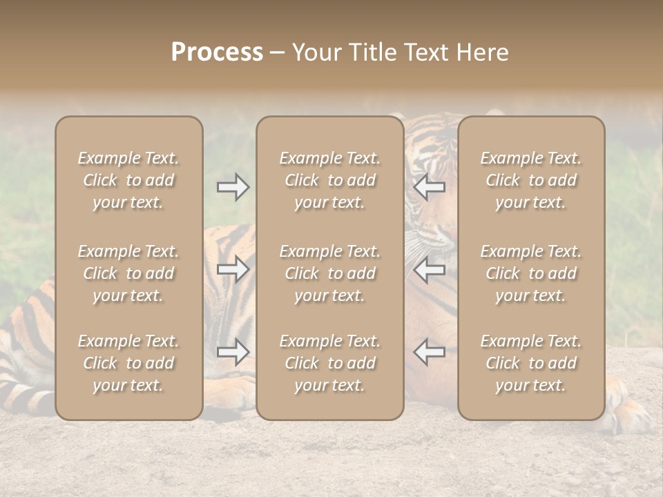Tiger Sitting PowerPoint Template