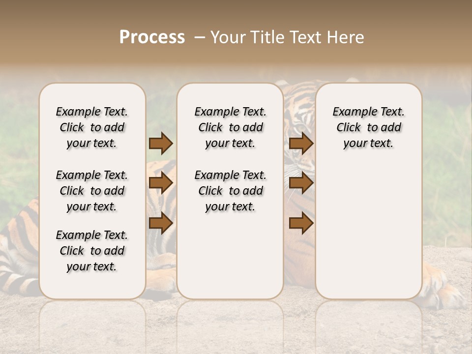 Tiger Sitting PowerPoint Template