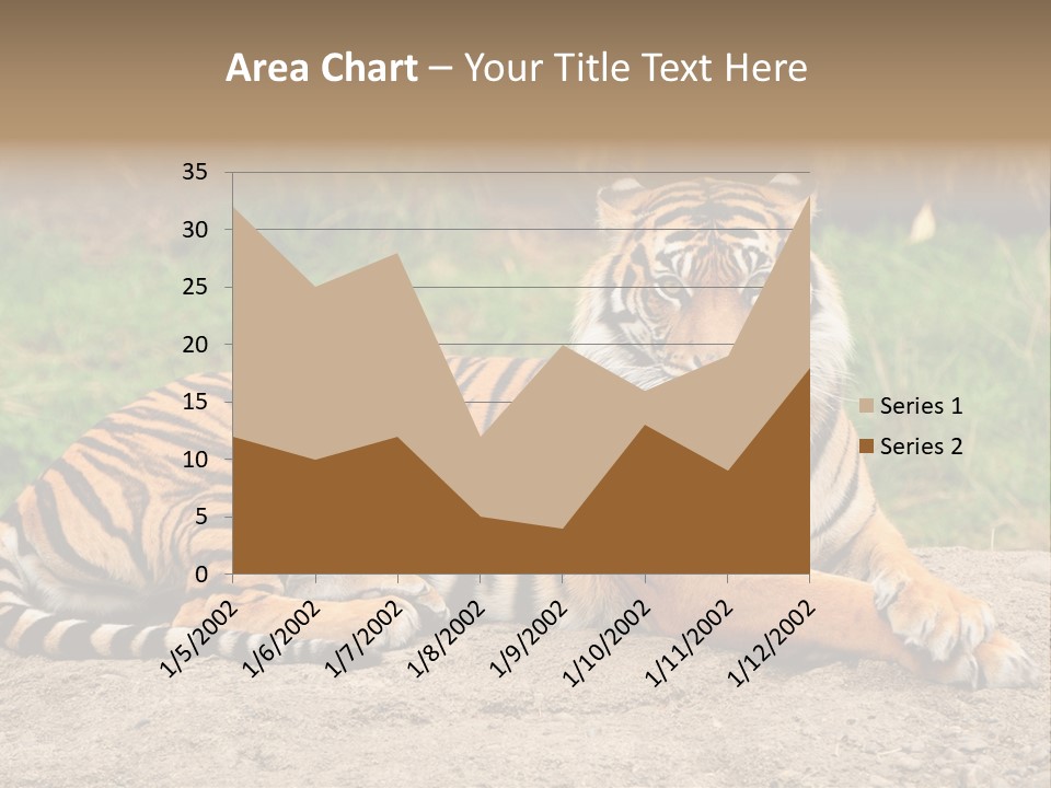 Tiger Sitting PowerPoint Template