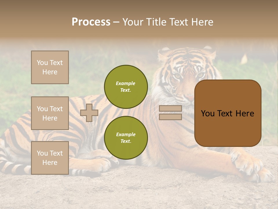 Tiger Sitting PowerPoint Template