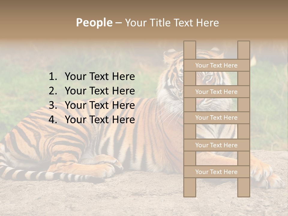 Tiger Sitting PowerPoint Template