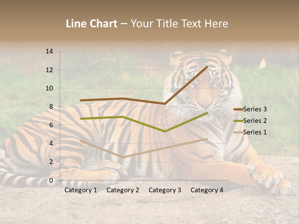 Tiger Sitting PowerPoint Template