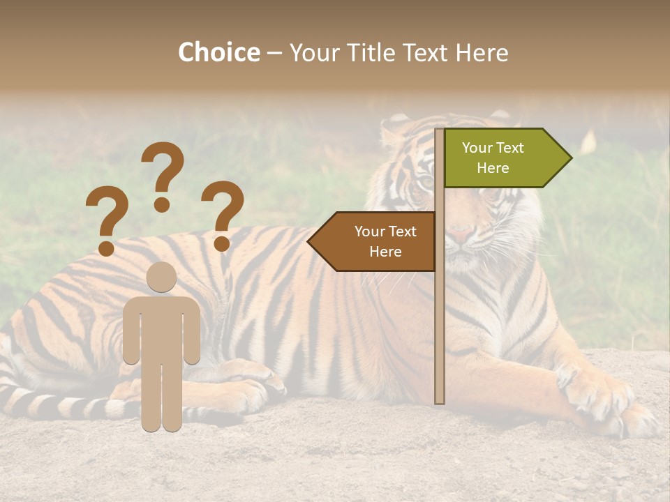Tiger Sitting PowerPoint Template