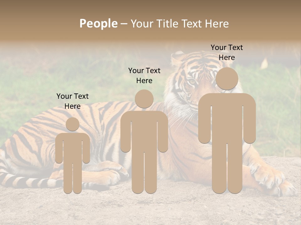 Tiger Sitting PowerPoint Template
