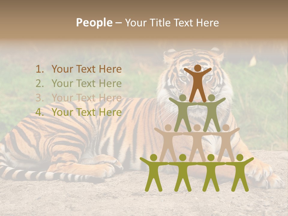 Tiger Sitting PowerPoint Template