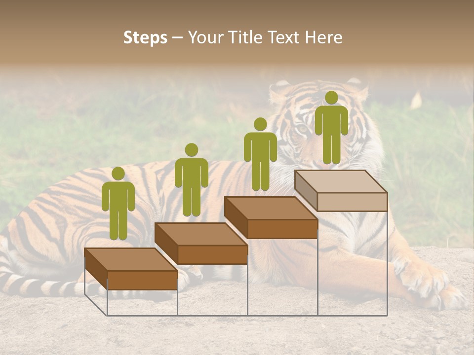 Tiger Sitting PowerPoint Template