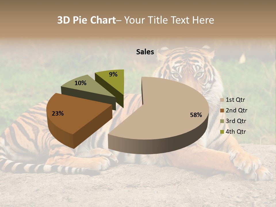 Tiger Sitting PowerPoint Template