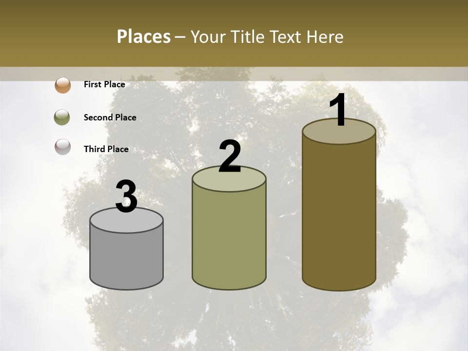 Round Park PowerPoint Template