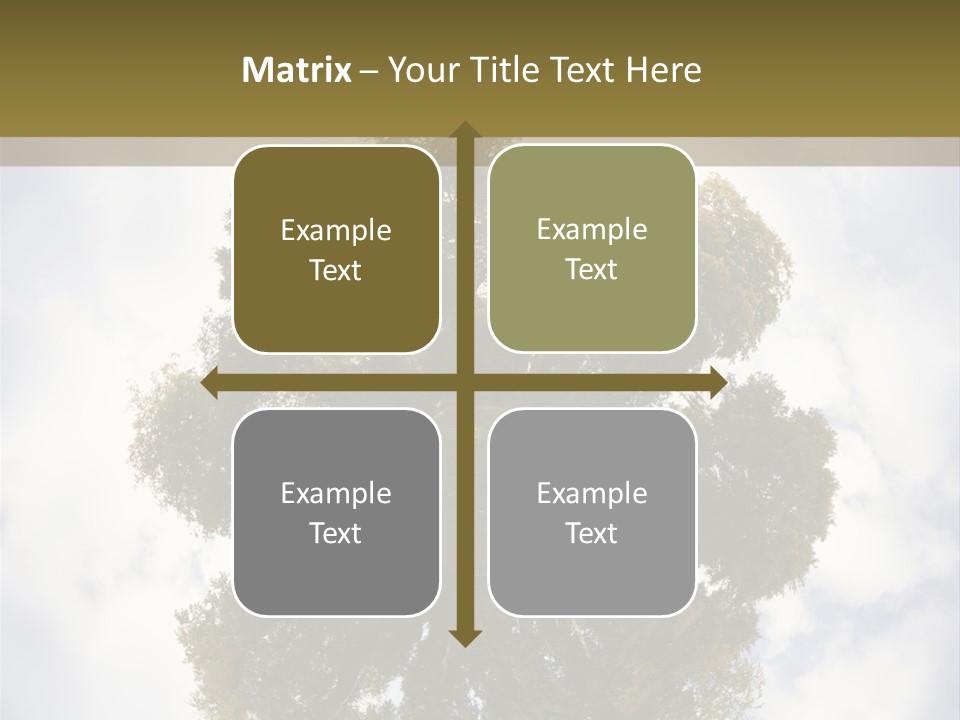 Round Park PowerPoint Template