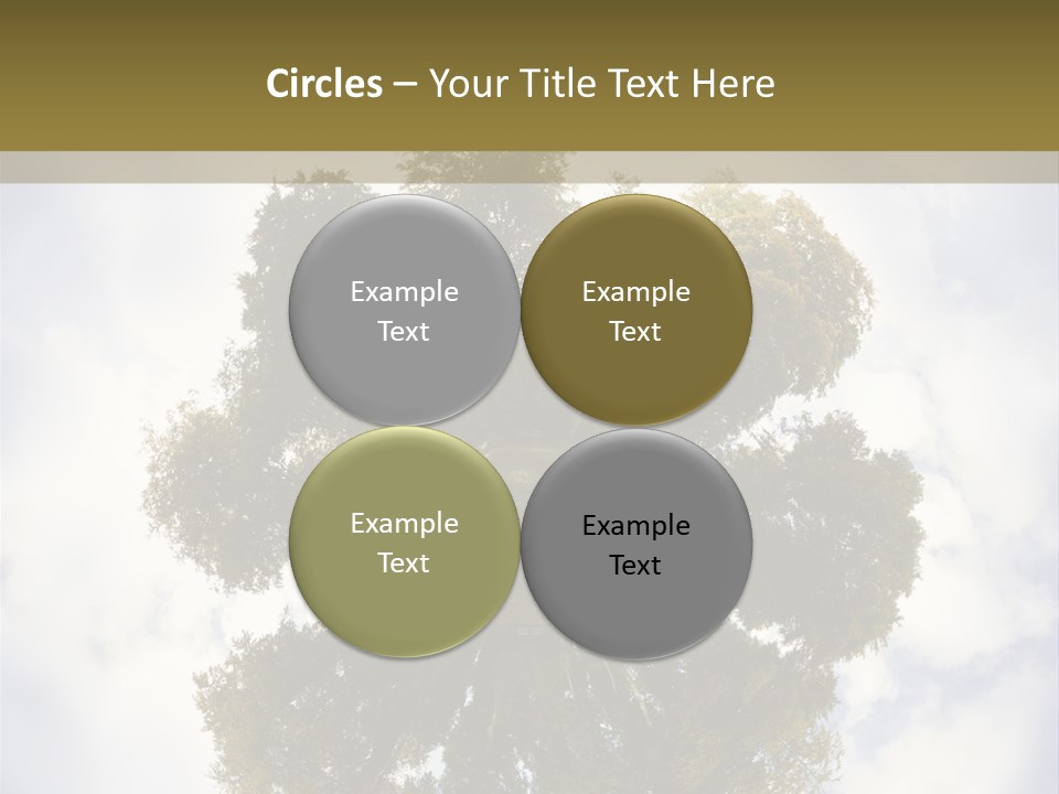 Round Park PowerPoint Template