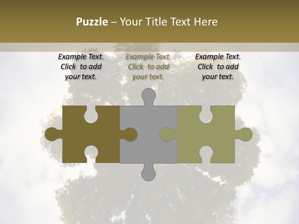 Round Park PowerPoint Template