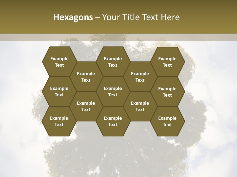 Round Park PowerPoint Template