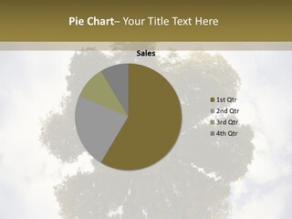 Round Park PowerPoint Template