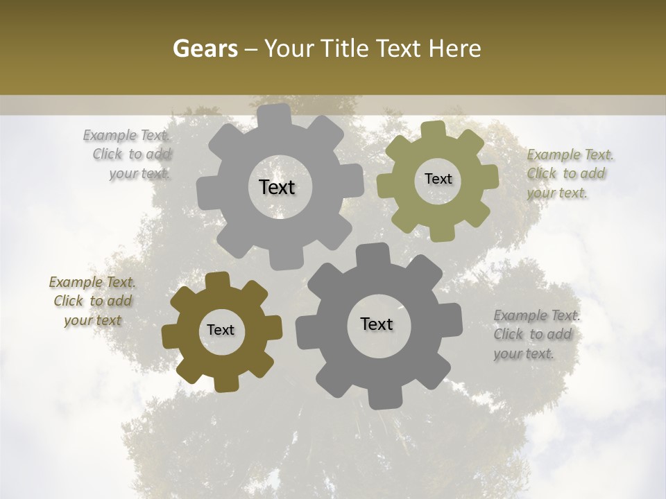 Round Park PowerPoint Template