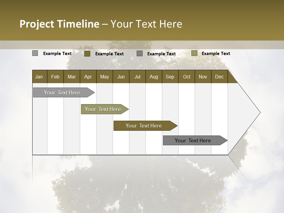 Round Park PowerPoint Template