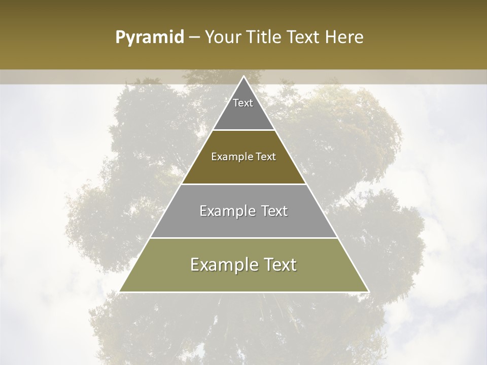 Round Park PowerPoint Template