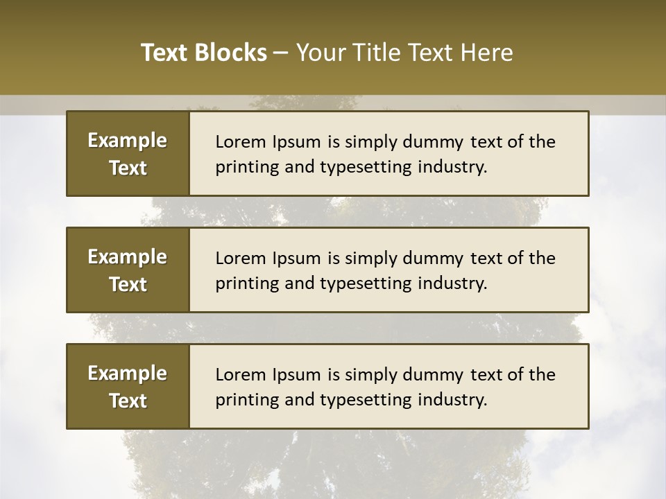 Round Park PowerPoint Template
