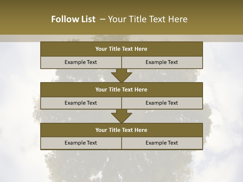 Round Park PowerPoint Template