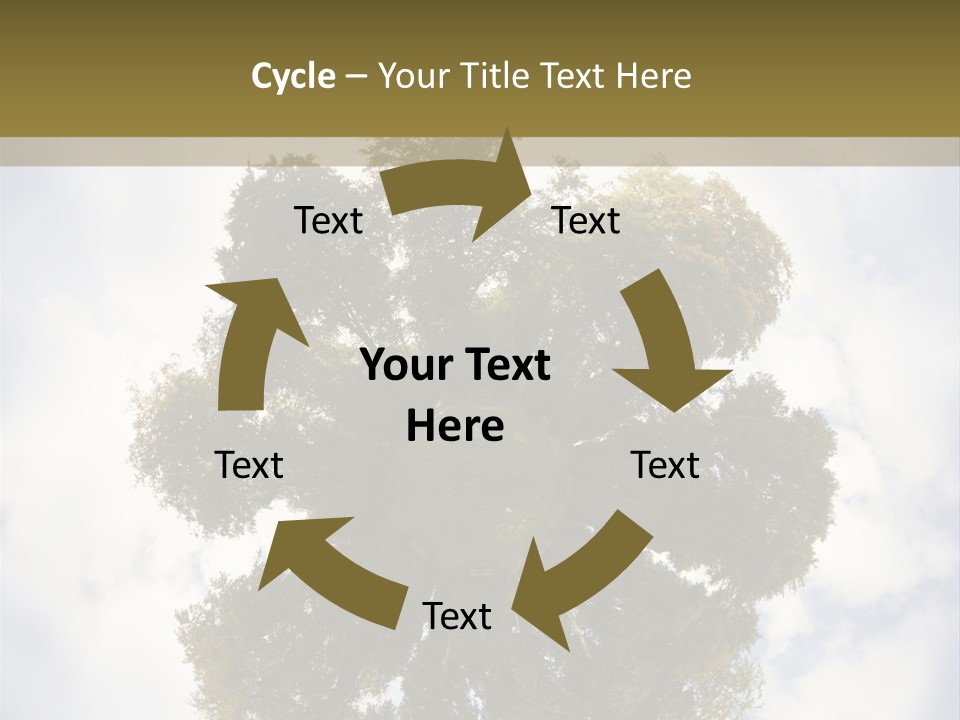 Round Park PowerPoint Template