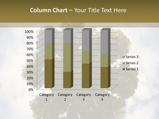 Round Park PowerPoint Template