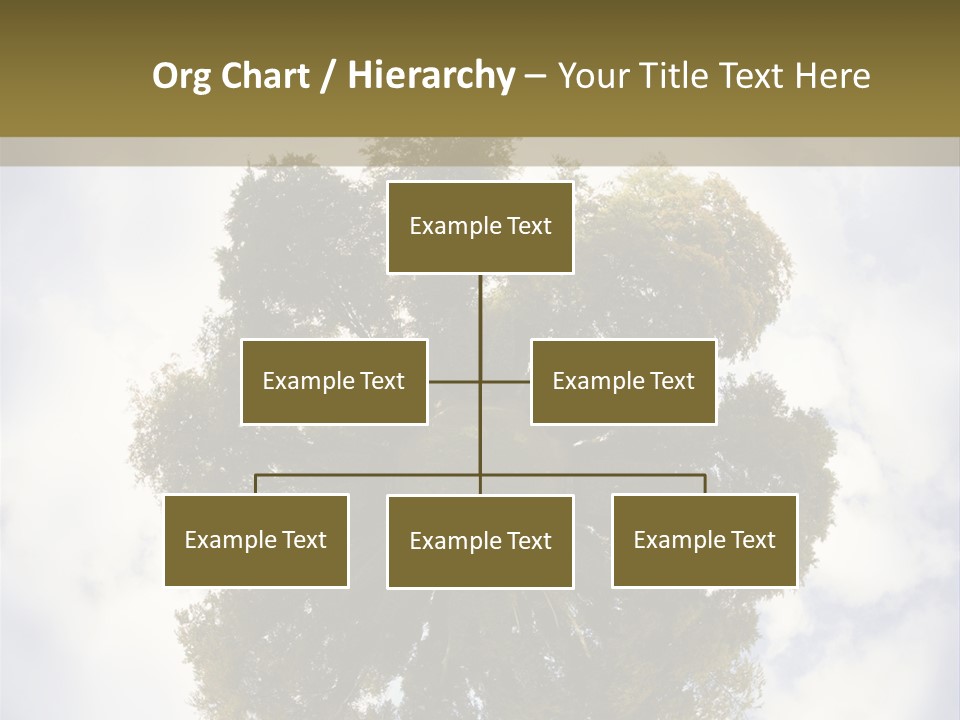 Round Park PowerPoint Template