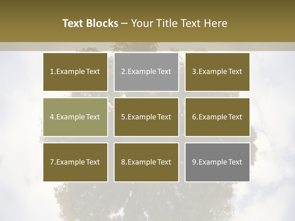 Round Park PowerPoint Template