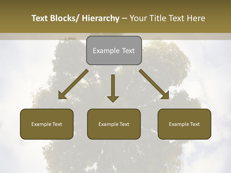 Round Park PowerPoint Template