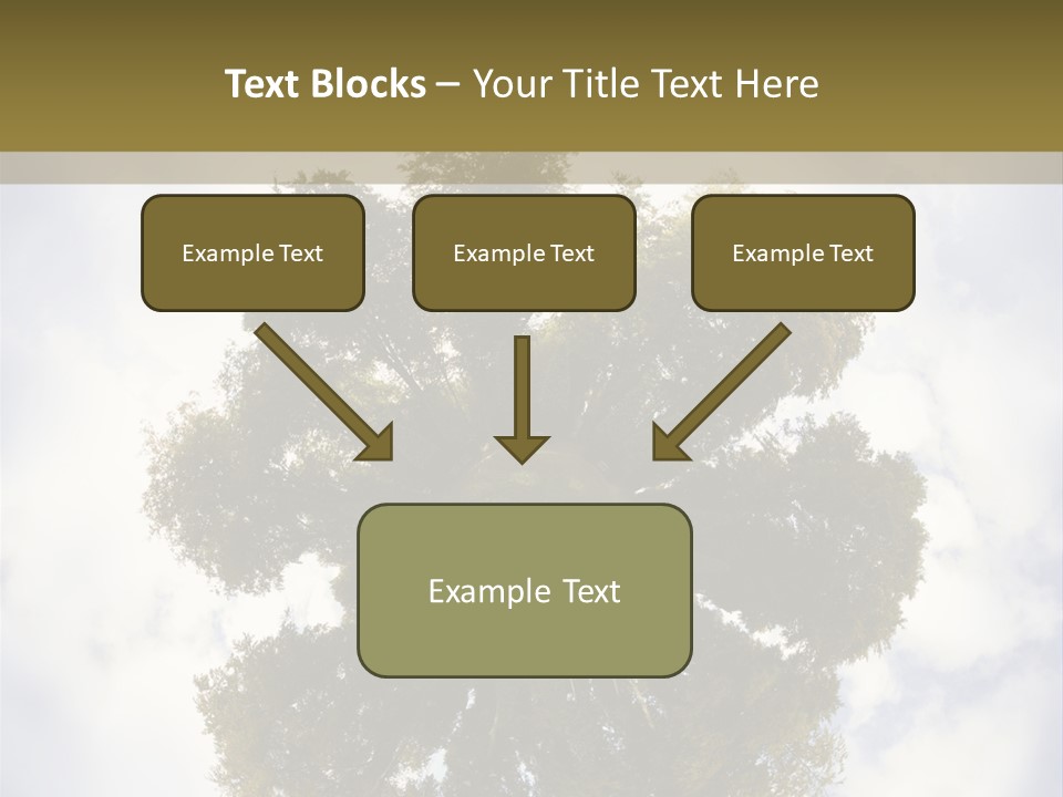 Round Park PowerPoint Template